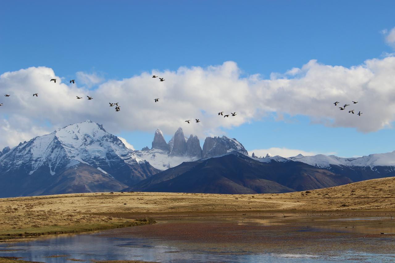 Hosteria Tercera Barranca Torres del Paine National Park Dış mekan fotoğraf