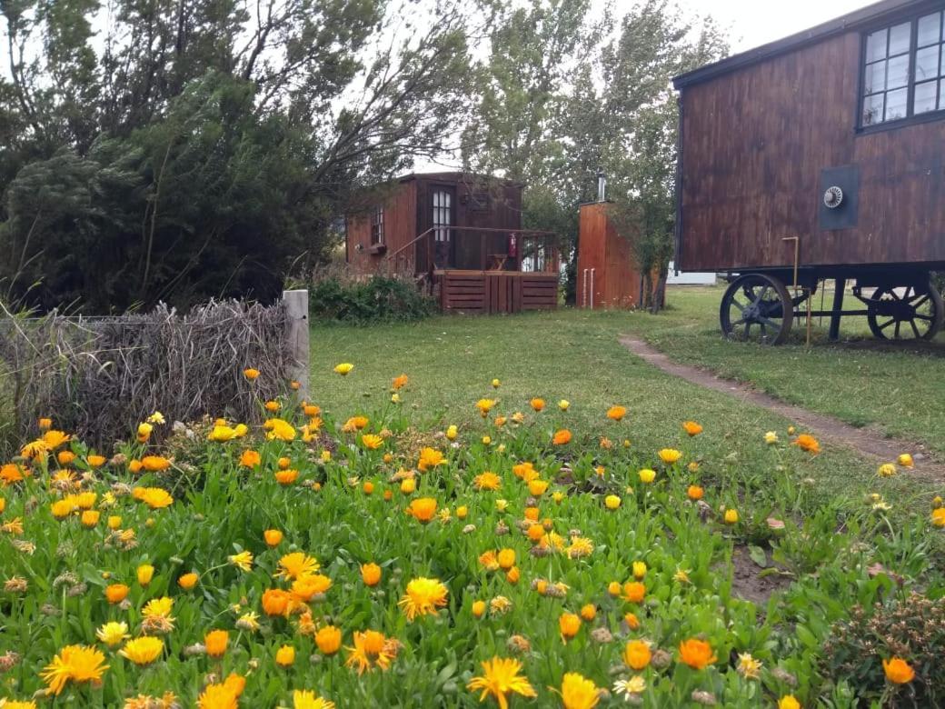 Hosteria Tercera Barranca Torres del Paine National Park Dış mekan fotoğraf