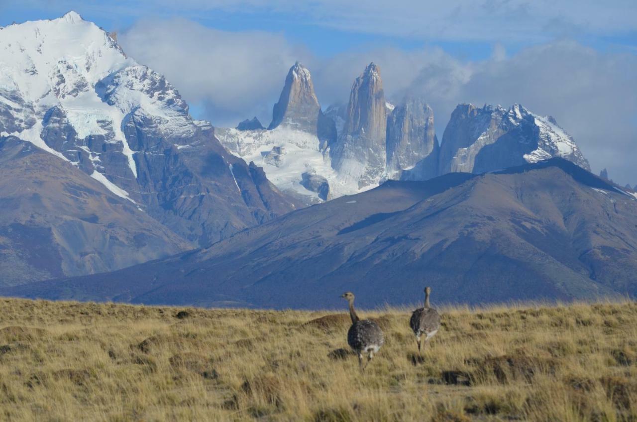 Hosteria Tercera Barranca Torres del Paine National Park Dış mekan fotoğraf